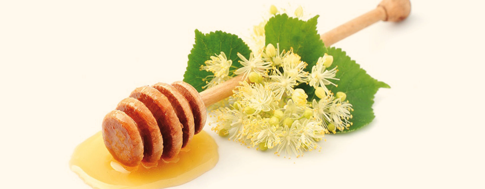 Hausmittel bei trockener Haut: Honig, Kokosöl, Avocado, Hafer